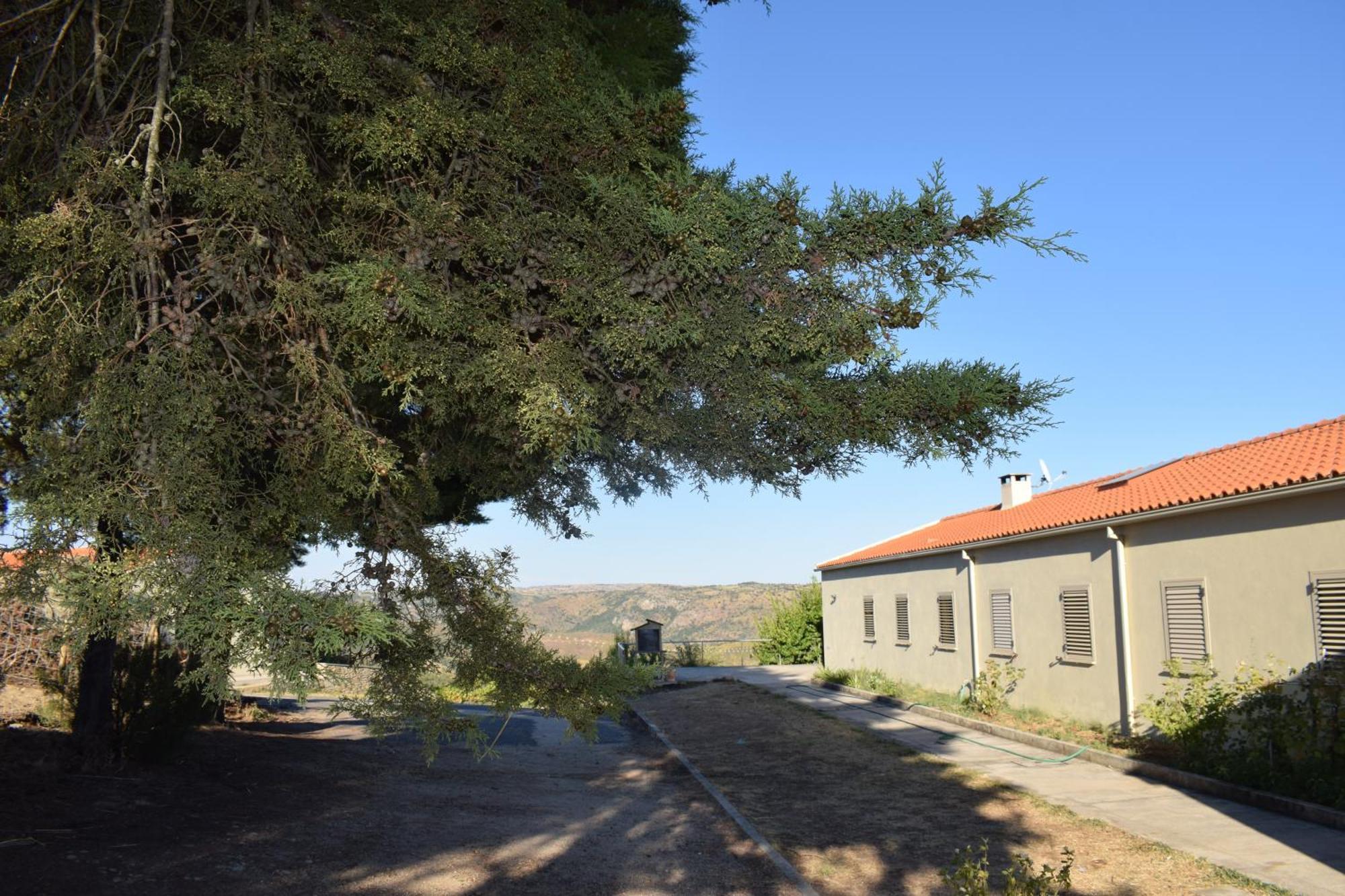 Country house Douro Natura