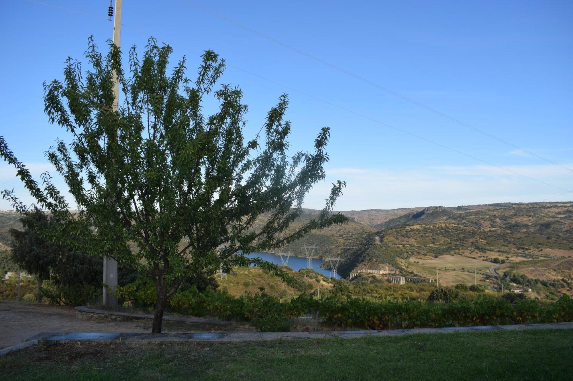 Douro Natura *